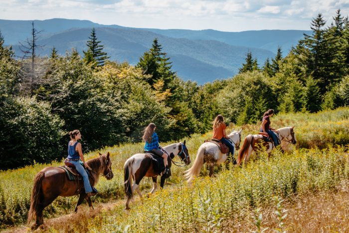 Four people ride horses along a grassy trail with forested mountains in the background.