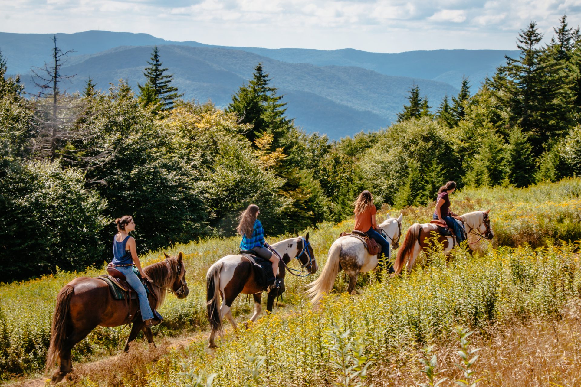 Horseback Riding Pocahontas County, WV