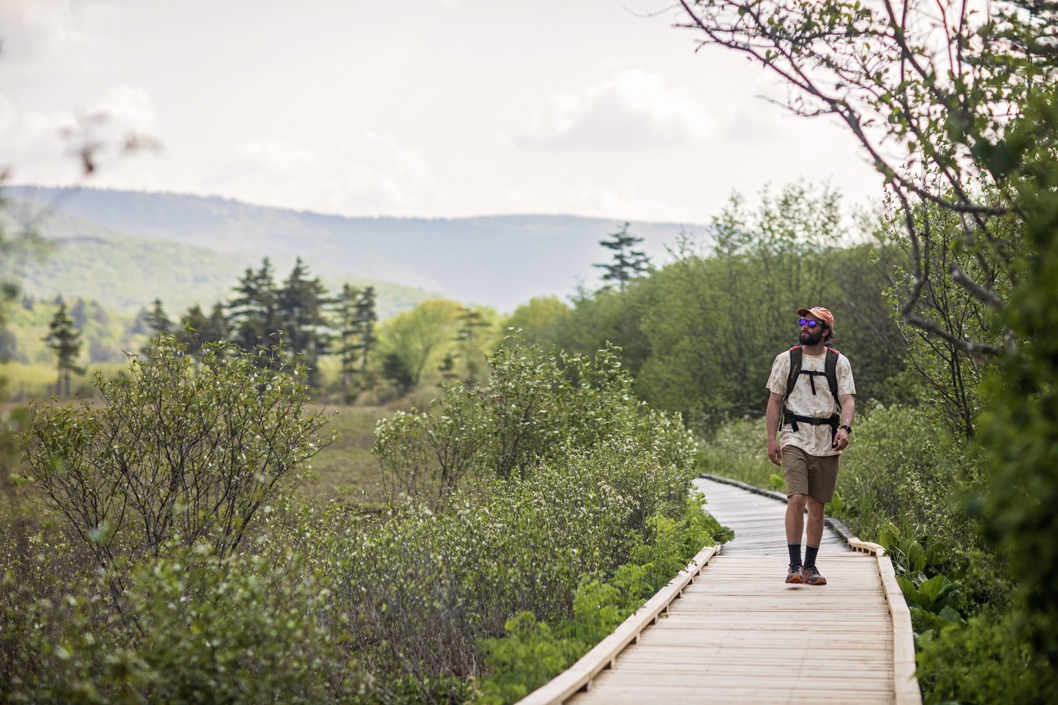 Endless Ways to Enjoy the Monongahela National Forest in Pocahontas County Pocahontas County, WV