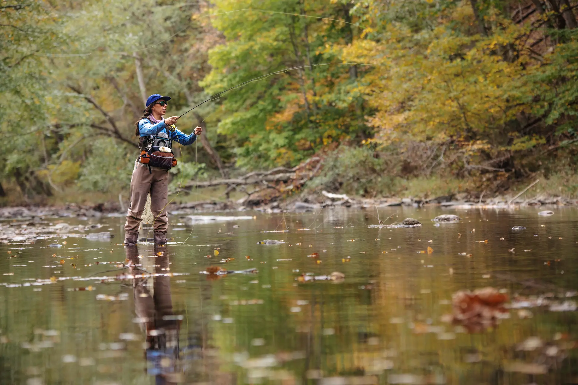 Top Spring Fishing Spots in Pocahontas County, WV - Pocahontas