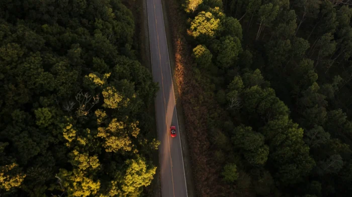 Aerial view of a red car driving on the Highland Scenic Highway, a straight road through a dense forest with sunlit yellow-green foliage visible from above