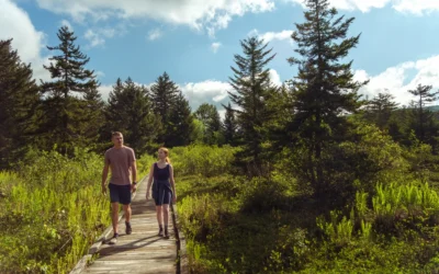 Two people walking on a wooden boardwalk trail surrounded by lush green vegetation and tall evergreen trees under a blue sky with white clouds