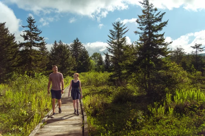 Two people walking on a wooden boardwalk trail surrounded by lush green vegetation and tall evergreen trees under a blue sky with white clouds