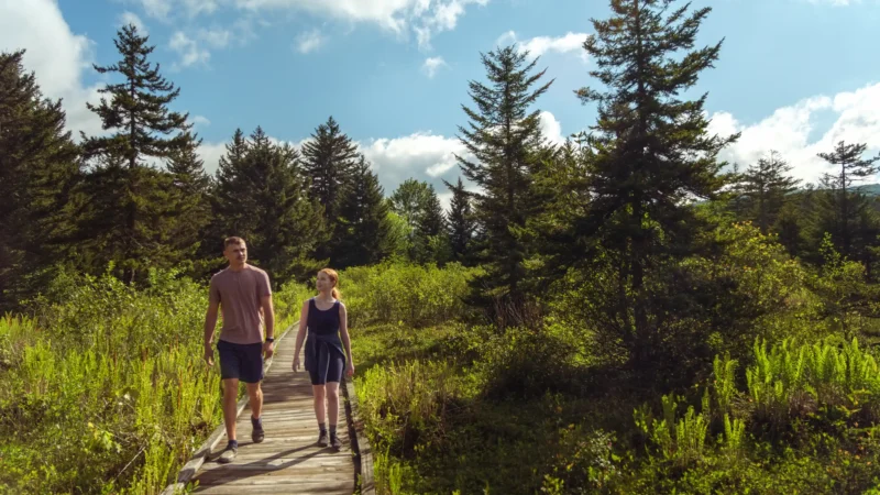 Two people walking on a wooden boardwalk trail surrounded by lush green vegetation and tall evergreen trees under a blue sky with white clouds