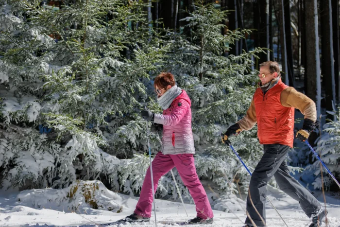 Two people cross-country skiing through a snowy forest trail. One person wears a pink winter jacket and gray scarf, while the other wears an orange and tan vest. Snow-covered evergreen trees line the path.