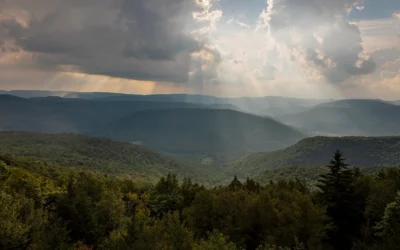 A mountain landscape with multiple rolling forested hills receding into the distance. Sunbeams pierce through clouds. The foreground shows dense forest with deciduous and evergreen trees, while the background features layers of mountains fading into a misty blue haze.