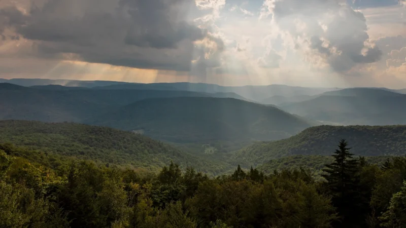 A mountain landscape with multiple rolling forested hills receding into the distance. Sunbeams pierce through clouds. The foreground shows dense forest with deciduous and evergreen trees, while the background features layers of mountains fading into a misty blue haze.