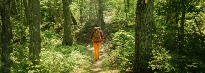 A solo hiker wearing a red plaid shirt and orange pants walks along a narrow dirt trail through a dense, sunlit forest in Pocahontas County, West Virginia, following a yellow trail blaze.
