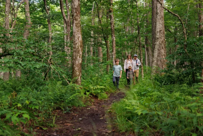 A family hiking on a narrow trail through a lush green forest. Two adults are walking behind two children on a path surrounded by tall trees, ferns, and dense undergrowth. The hikers are dressed in casual outdoor clothing as they make their way along the woodland trail.