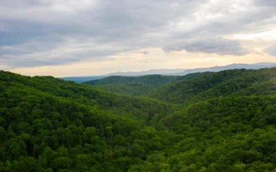 A scenic landscape view of densely forested green mountains extending into the distance under a cloudy sky.