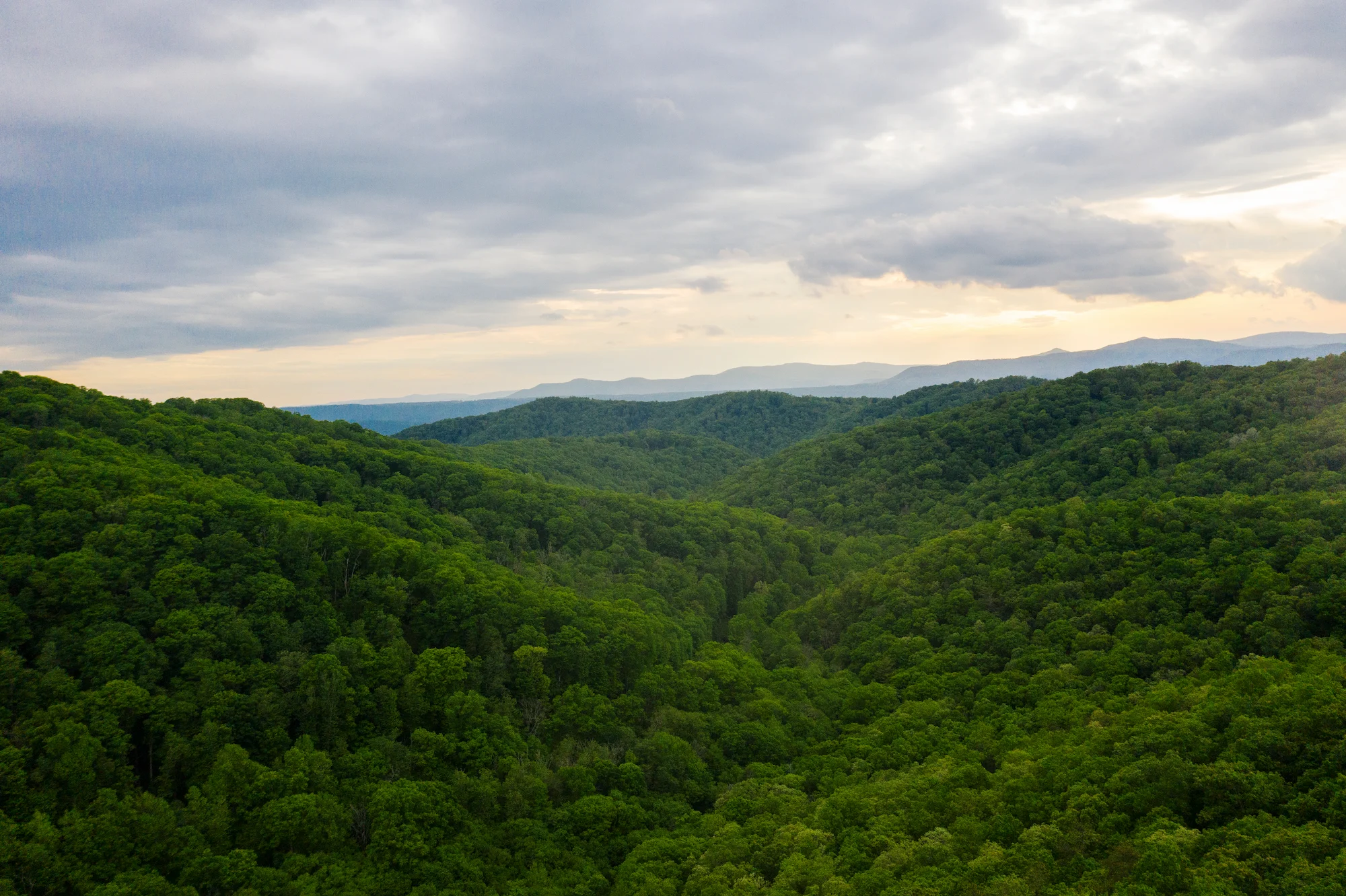 A scenic landscape view of densely forested green mountains extending into the distance under a cloudy sky.