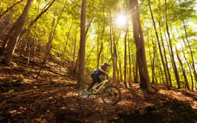 A cyclist riding a mountain bike on a forest trail covered with autumn leaves.