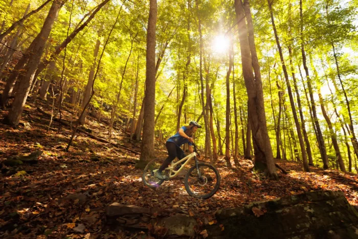 A cyclist riding a mountain bike on a forest trail covered with autumn leaves.