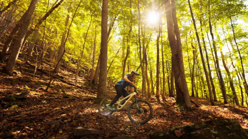 A cyclist riding a mountain bike on a forest trail covered with autumn leaves.