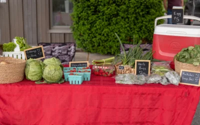 Fresh produce table with cabbage, lettuce, strawberries, herbs and other vegetables with price signs at farmers market