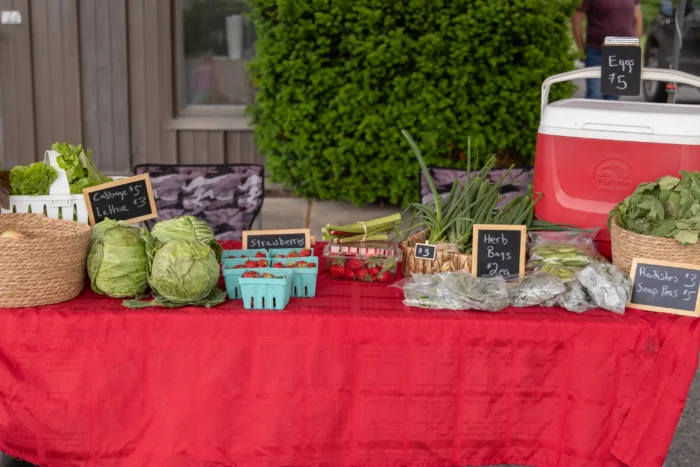 Fresh produce table with cabbage, lettuce, strawberries, herbs and other vegetables with price signs at farmers market