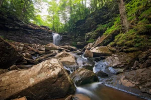 A waterfall cascades down layered rock formations in a forest gorge filled with moss-covered boulders and flowing water.