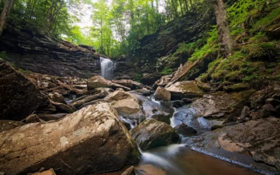 A waterfall cascades down layered rock formations in a forest gorge filled with moss-covered boulders and flowing water.