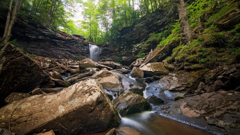 A waterfall cascades down layered rock formations in a forest gorge filled with moss-covered boulders and flowing water.
