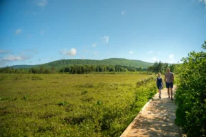 Two people walking on a wooden boardwalk through a green wetland area with forested hills in the background under a blue sky.