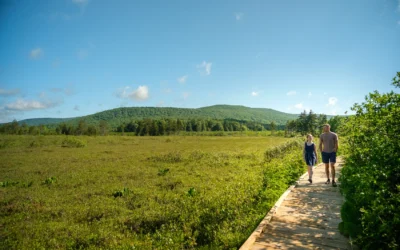 Two people walking on a wooden boardwalk through a green wetland area with forested hills in the background under a blue sky.