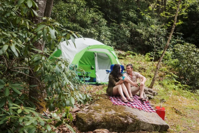 A couple sitting on a blanket next to a green and white tent in a forest