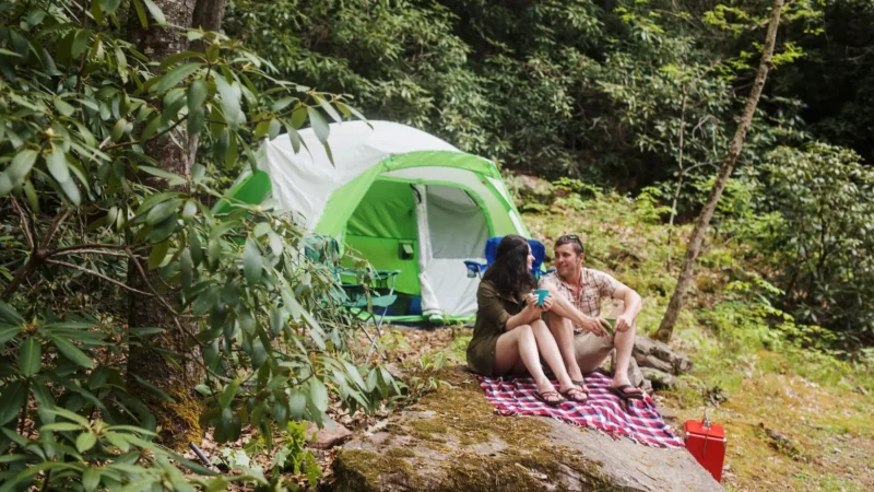A couple sitting on a blanket next to a green and white tent in a forest