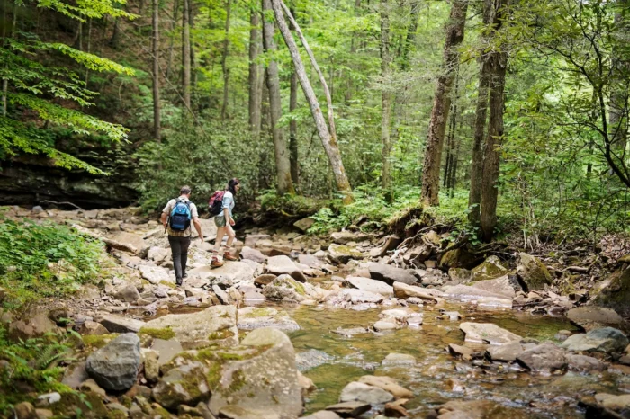 Two hikers with backpacks walking along a rocky creek bed surrounded by lush green forest trees.