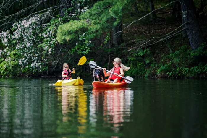 A woman and child in separate kayaks on a calm lake, with a black dog standing on the woman's orange kayak. Both are wearing life jackets and sunglasses, surrounded by green hills and trees.