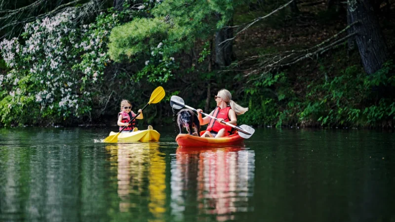 A woman and child in separate kayaks on a calm lake, with a black dog standing on the woman's orange kayak. Both are wearing life jackets and sunglasses, surrounded by green hills and trees.