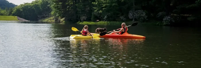 A woman and child paddle kayaks on a peaceful lake bordered by dense green forest.