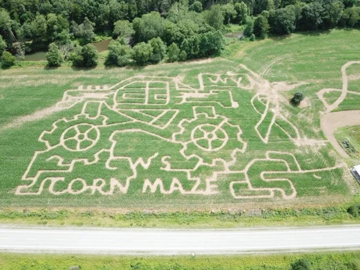 Aerial view of corn maze shaped like a tractor with "CORN MAZE" text cut into field