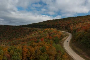 A winding road curves through rolling hills covered in vibrant fall foliage with orange, red and yellow trees under a cloudy sky.