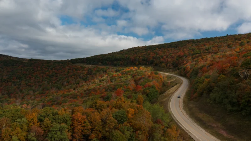 A winding road curves through rolling hills covered in vibrant fall foliage with orange, red and yellow trees under a cloudy sky.