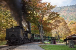 Steam locomotive with green passenger cars traveling through autumn landscape with colorful trees