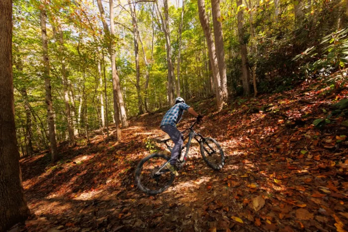 Mountain biker climbing uphill through forest trail covered in fall leaves