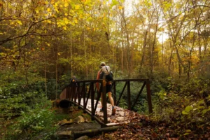 Person with backpack crossing wooden footbridge in autumn forest.