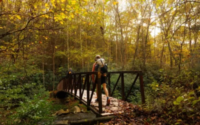 Person with backpack crossing wooden footbridge in autumn forest.