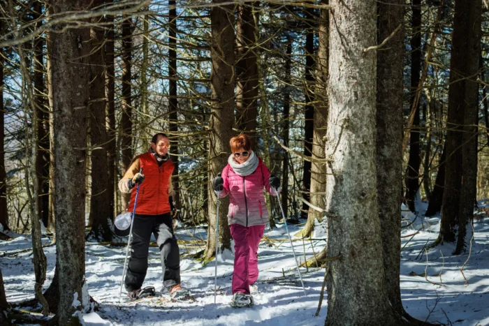 Two people cross-country skiing through a snowy forest
