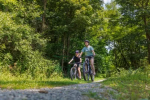 Two people biking along a gravel road through a lush green forest.