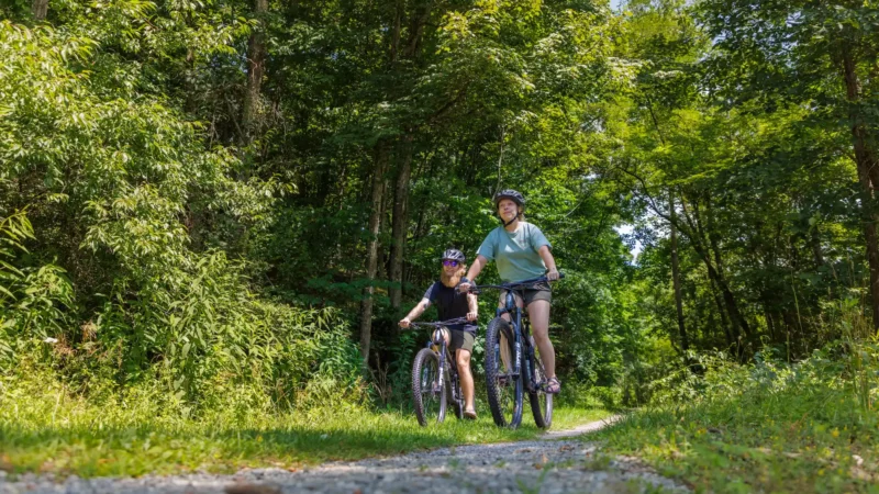 Two people biking along a gravel road through a lush green forest.