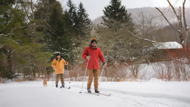 Two people cross-country skiing with a dog on a snowy trail