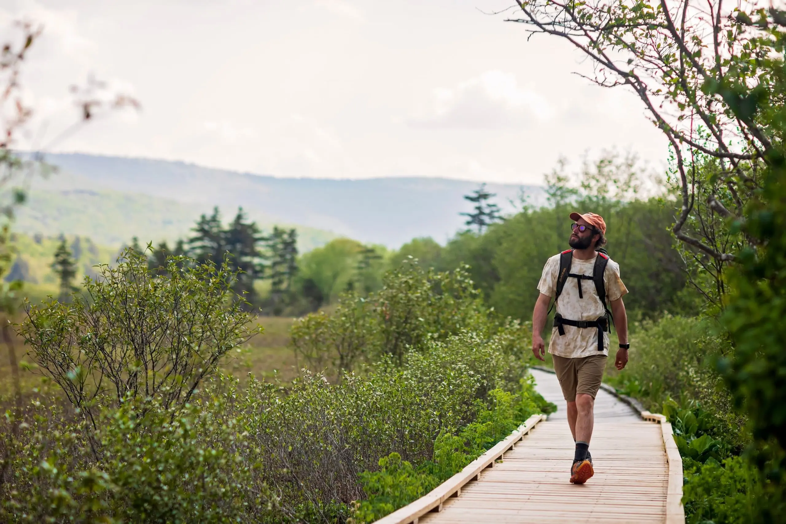 Hiker walks along a wooden boardwalk through green shrubs with hills in the distance