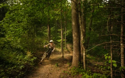 A mountain biker riding a dirt trail through a forested area on the Monday Lick Trail System.