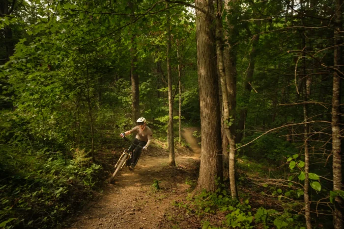 A mountain biker riding a dirt trail through a forested area on the Monday Lick Trail System.