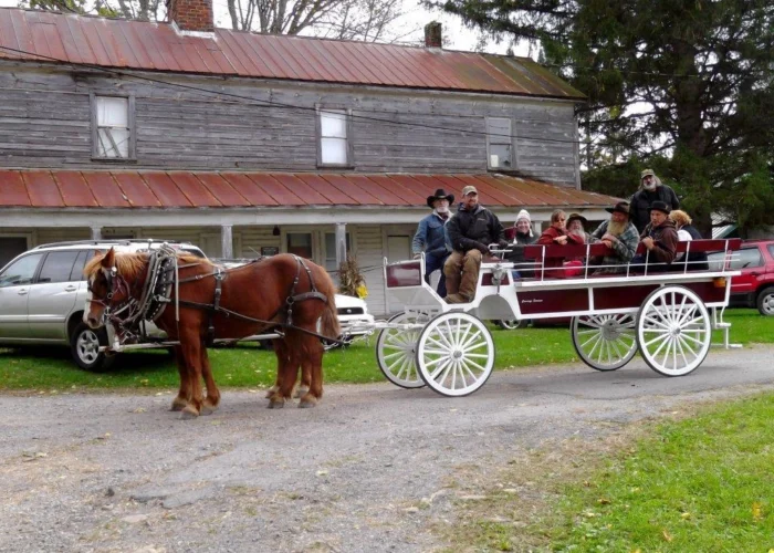 A chestnut draft horse pulling a white and red passenger carriage filled with riders, parked in front of a weathered wooden building with a rust-colored metal roof.