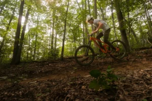 A mountain biker navigates a steep, leaf-covered dirt trail through a sunlit forest.