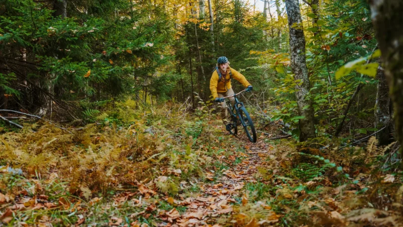 Mountain biker riding through an autumn forest trail surrounded by fallen leaves and ferns