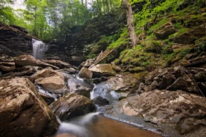 Falls of Hills Creek cascading over mossy boulders in a rocky forested gorge.