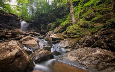 Falls of Hills Creek cascading over mossy boulders in a rocky forested gorge.